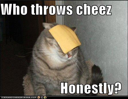 http://nikkyhall.files.wordpress.com/2008/04/funny-pictures-cat-asks-who-throws-cheese1.jpg